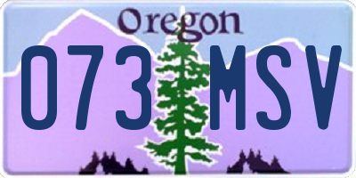 OR license plate 073MSV