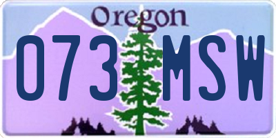 OR license plate 073MSW