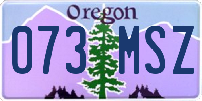 OR license plate 073MSZ