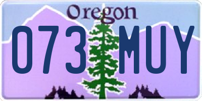 OR license plate 073MUY
