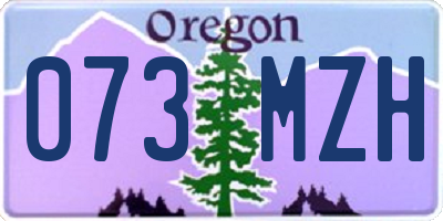 OR license plate 073MZH