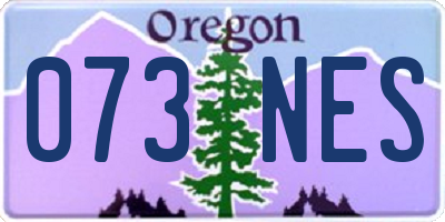 OR license plate 073NES