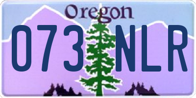 OR license plate 073NLR