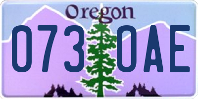 OR license plate 073OAE