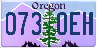 OR license plate 073OEH