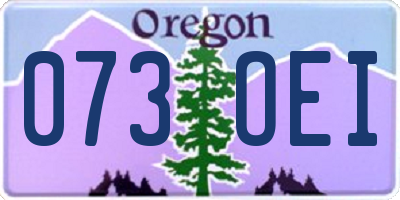 OR license plate 073OEI