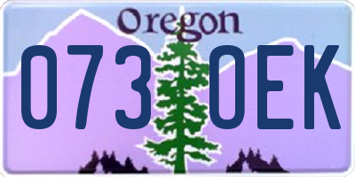 OR license plate 073OEK