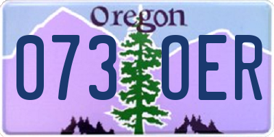 OR license plate 073OER