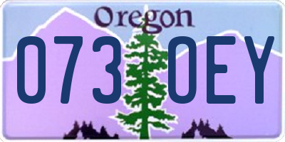 OR license plate 073OEY
