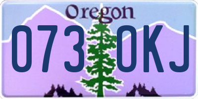 OR license plate 073OKJ