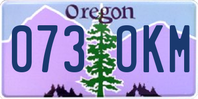 OR license plate 073OKM