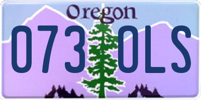 OR license plate 073OLS