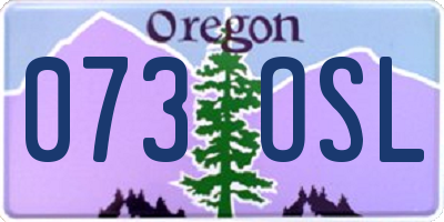 OR license plate 073OSL