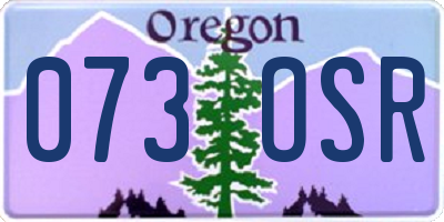 OR license plate 073OSR