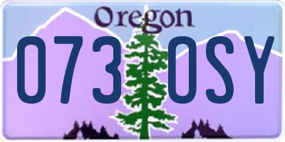 OR license plate 073OSY