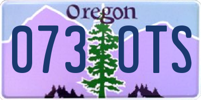 OR license plate 073OTS