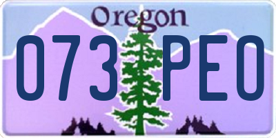 OR license plate 073PEO