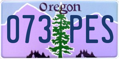 OR license plate 073PES
