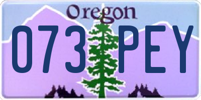 OR license plate 073PEY
