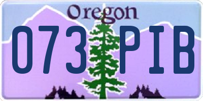 OR license plate 073PIB