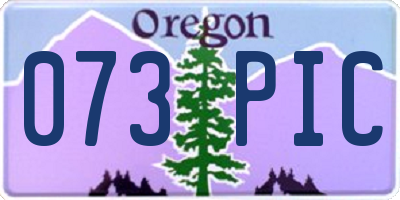 OR license plate 073PIC