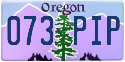 OR license plate 073PIP