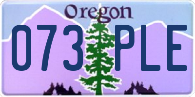 OR license plate 073PLE