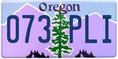 OR license plate 073PLI