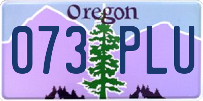 OR license plate 073PLU