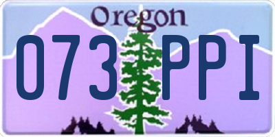 OR license plate 073PPI