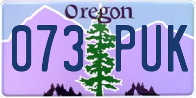OR license plate 073PUK
