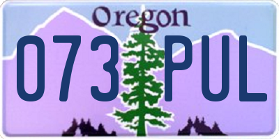 OR license plate 073PUL