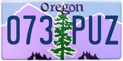 OR license plate 073PUZ