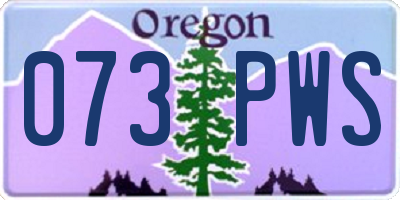 OR license plate 073PWS