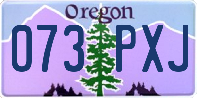 OR license plate 073PXJ