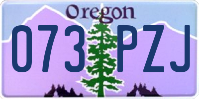 OR license plate 073PZJ