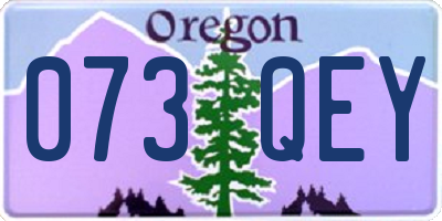 OR license plate 073QEY