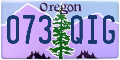 OR license plate 073QIG