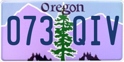 OR license plate 073QIV