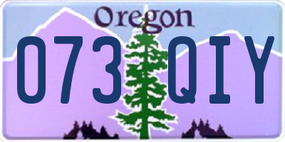 OR license plate 073QIY