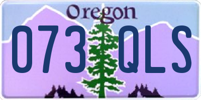 OR license plate 073QLS