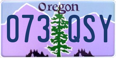 OR license plate 073QSY