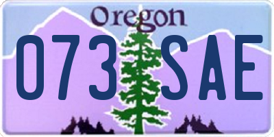 OR license plate 073SAE