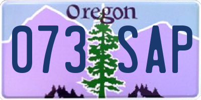 OR license plate 073SAP