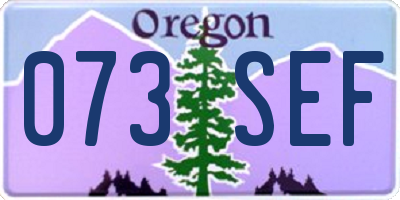 OR license plate 073SEF