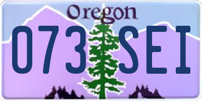 OR license plate 073SEI