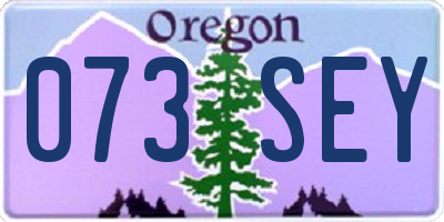 OR license plate 073SEY