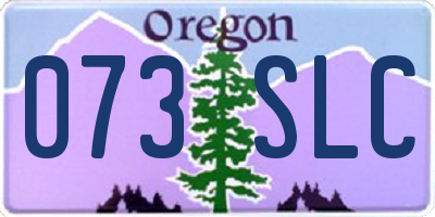 OR license plate 073SLC