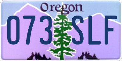 OR license plate 073SLF