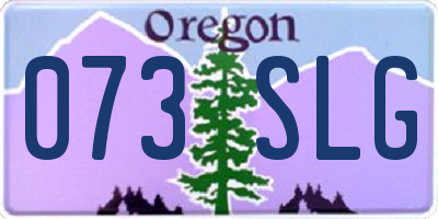 OR license plate 073SLG